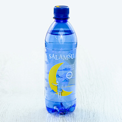 SALAMSU Вода питьевая негазированная 0,5л