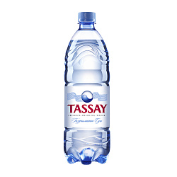 Tassay Premium Вода питьевая негазированная 1л